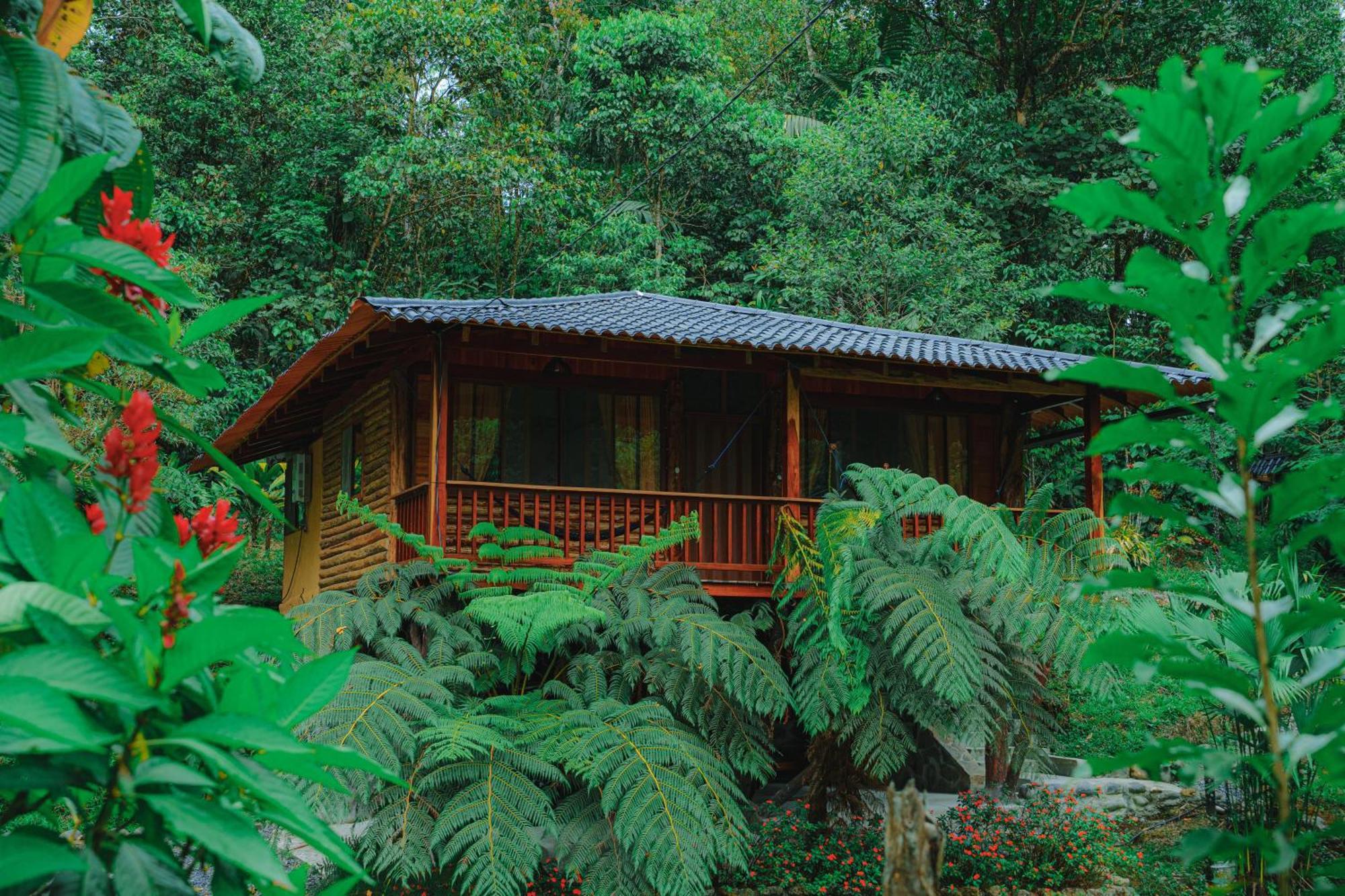 Finca Las Palmas Ecolodge Puyo Exterior photo