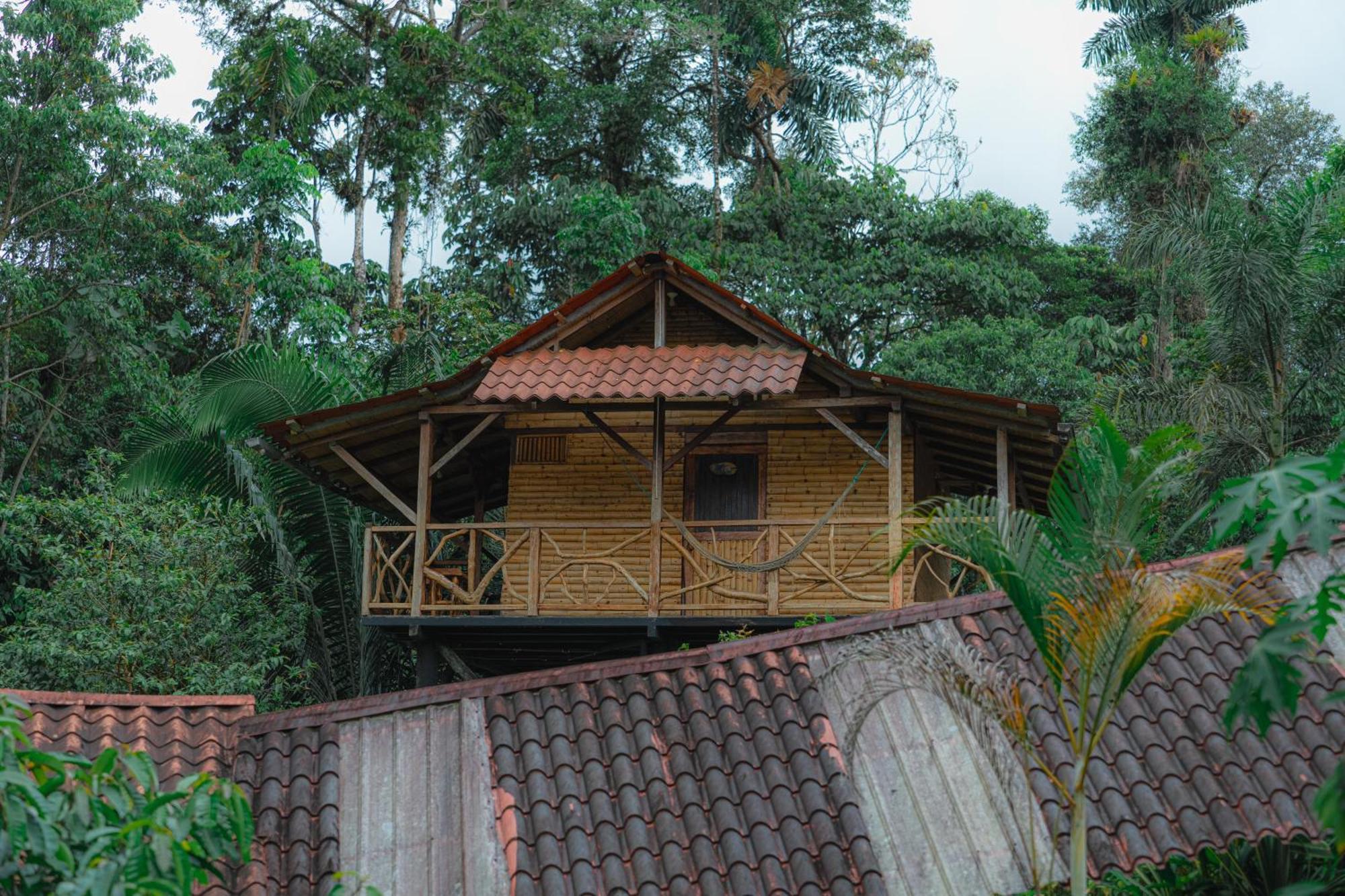 Finca Las Palmas Ecolodge Puyo Exterior photo